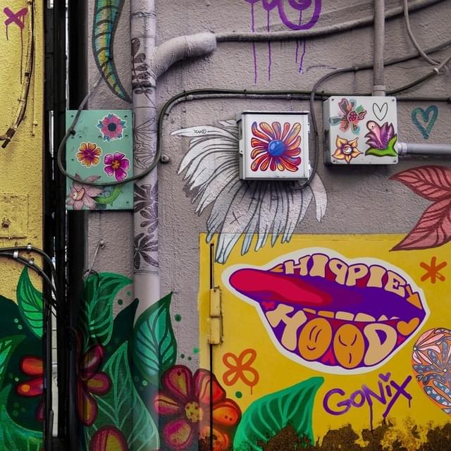 Hippie Hood