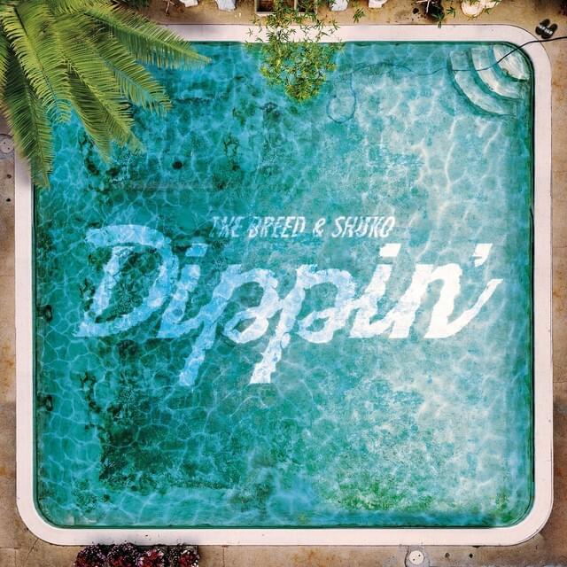 Dippin’