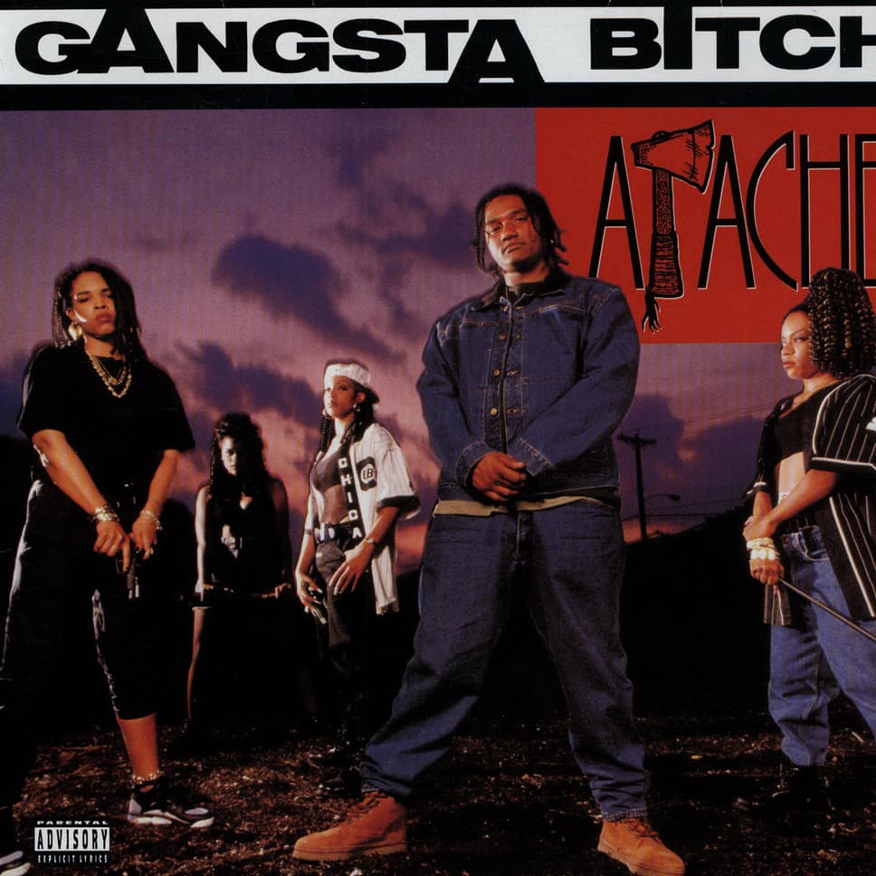 Album cover art for "Gangsta Bitch" by Q-Tip
