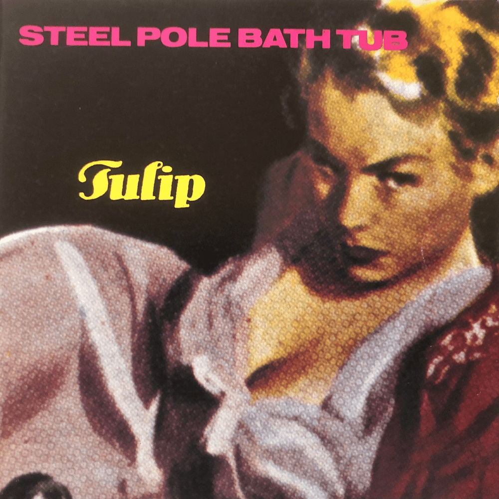 Tulip