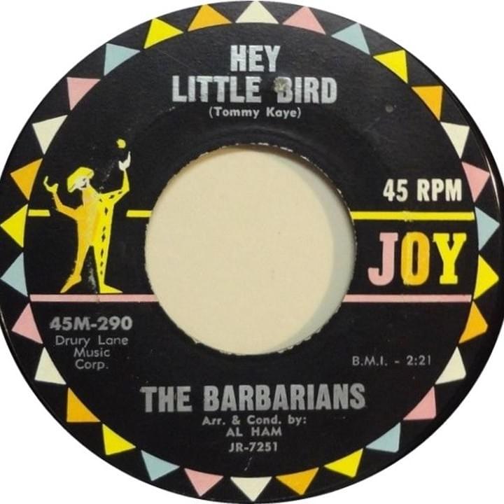 The Barbarians – You’ve Got To Understand/Hey Little Bird
