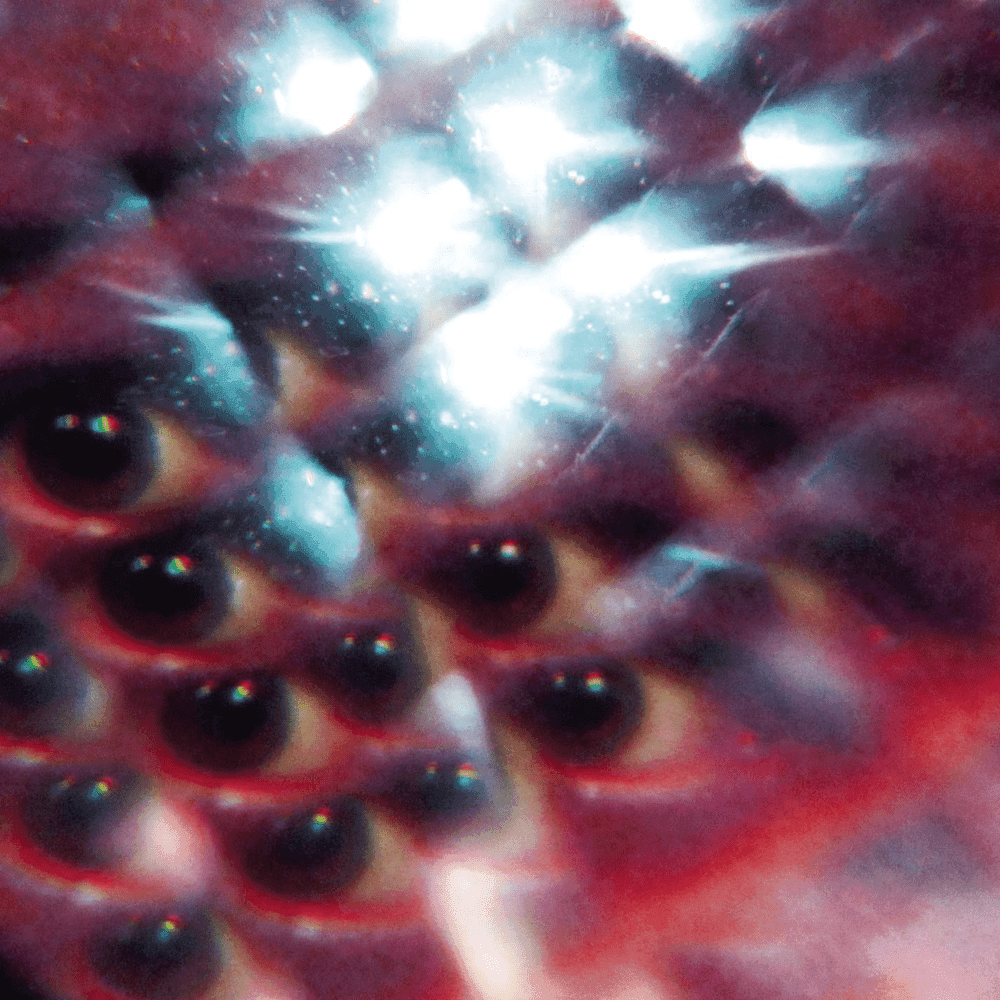 Album cover art for "Flash Delirium" by MGMT