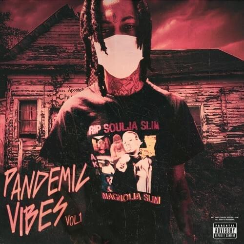 PANDEMIC VIBES VOL.1