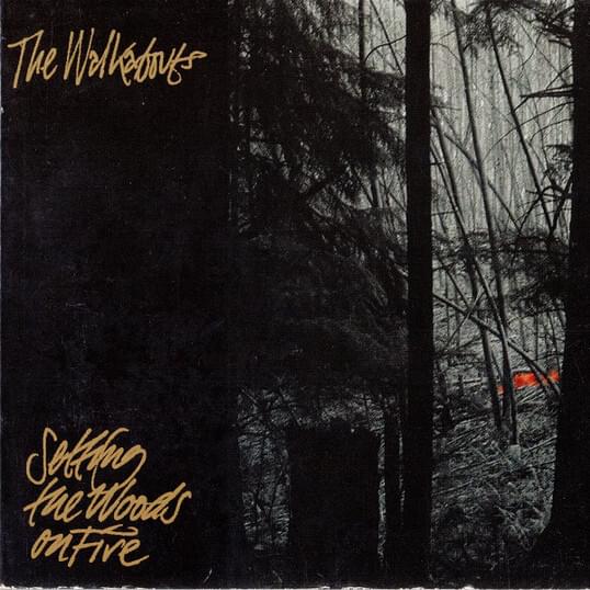 Setting the Woods on Fire