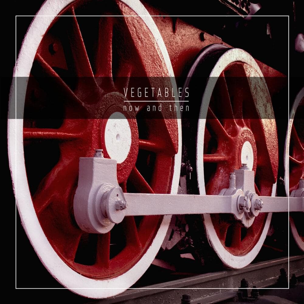 Album cover art for "Feeling Sorry for Us" by ​v e g e t a b l e s