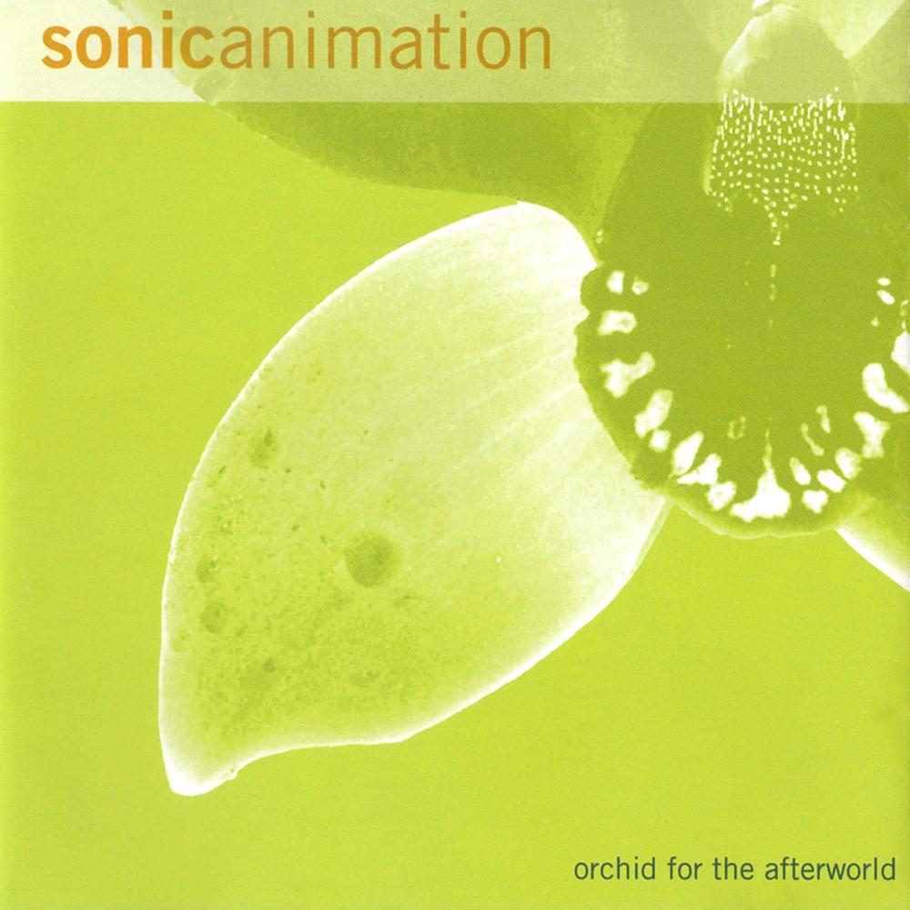 orchid for the afterworld