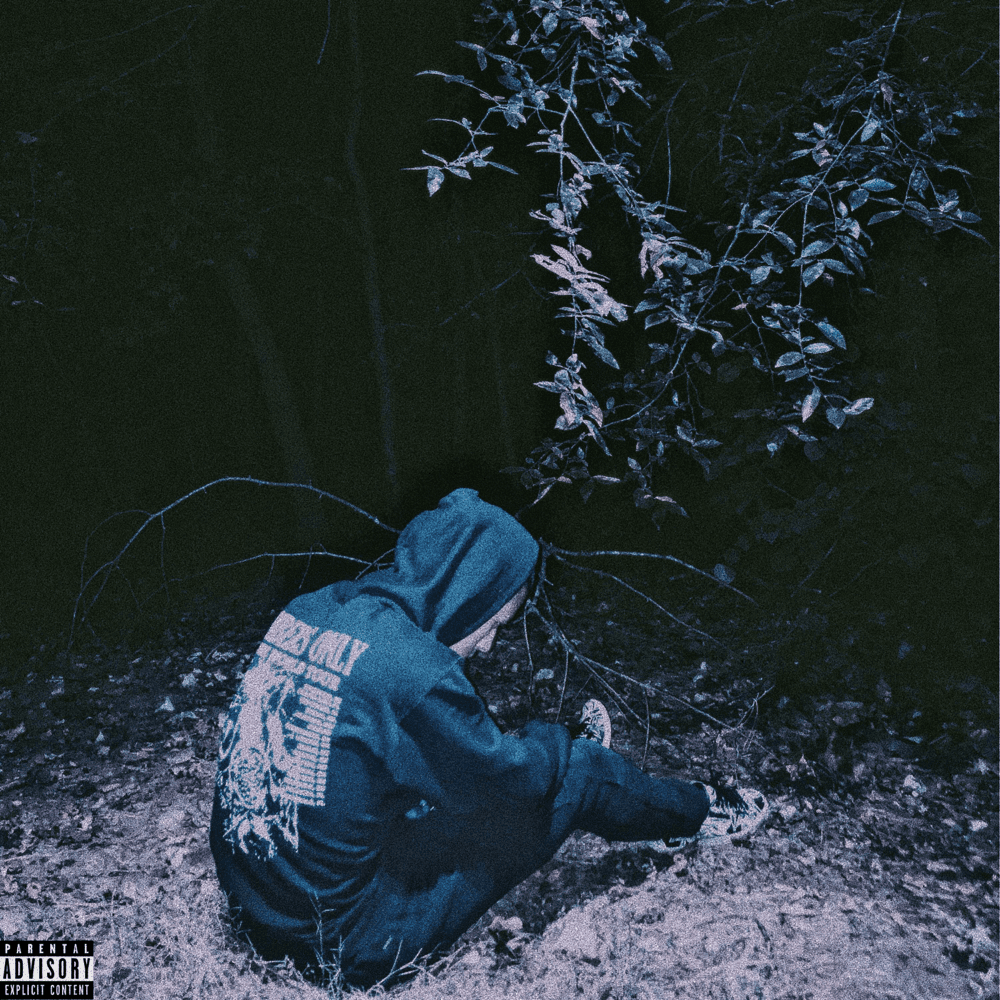 She Spoke in Silence Cover Art