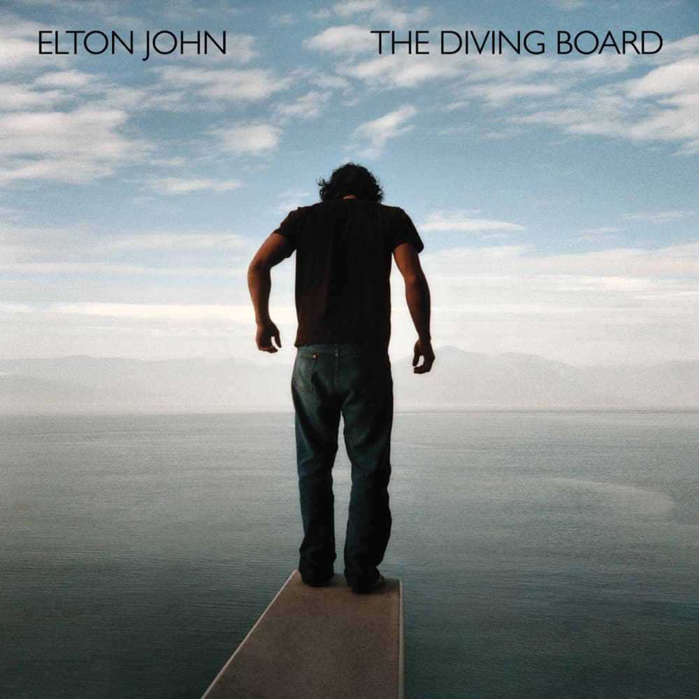 Cover image for The Diving Board