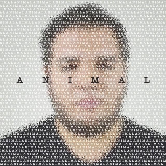 Animal (Single)