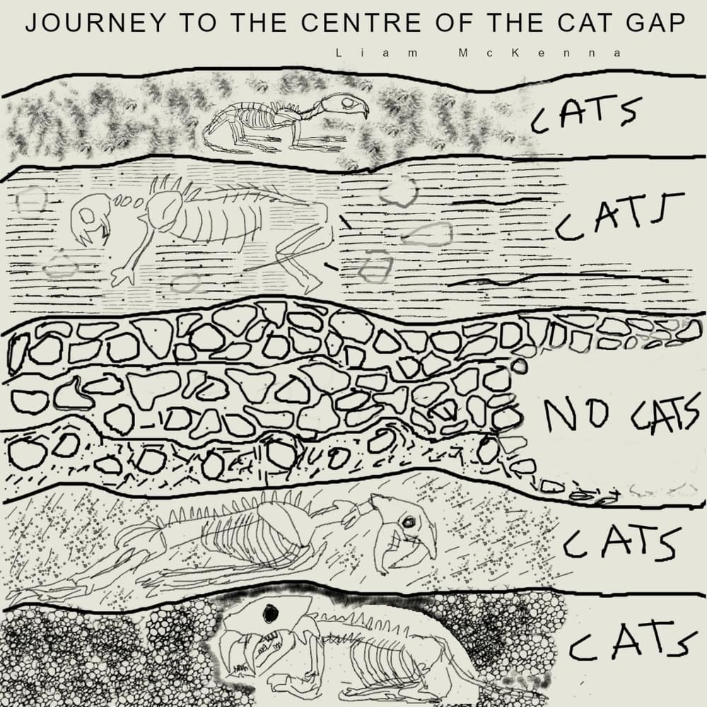 Journey to the Centre of the Cat Gap