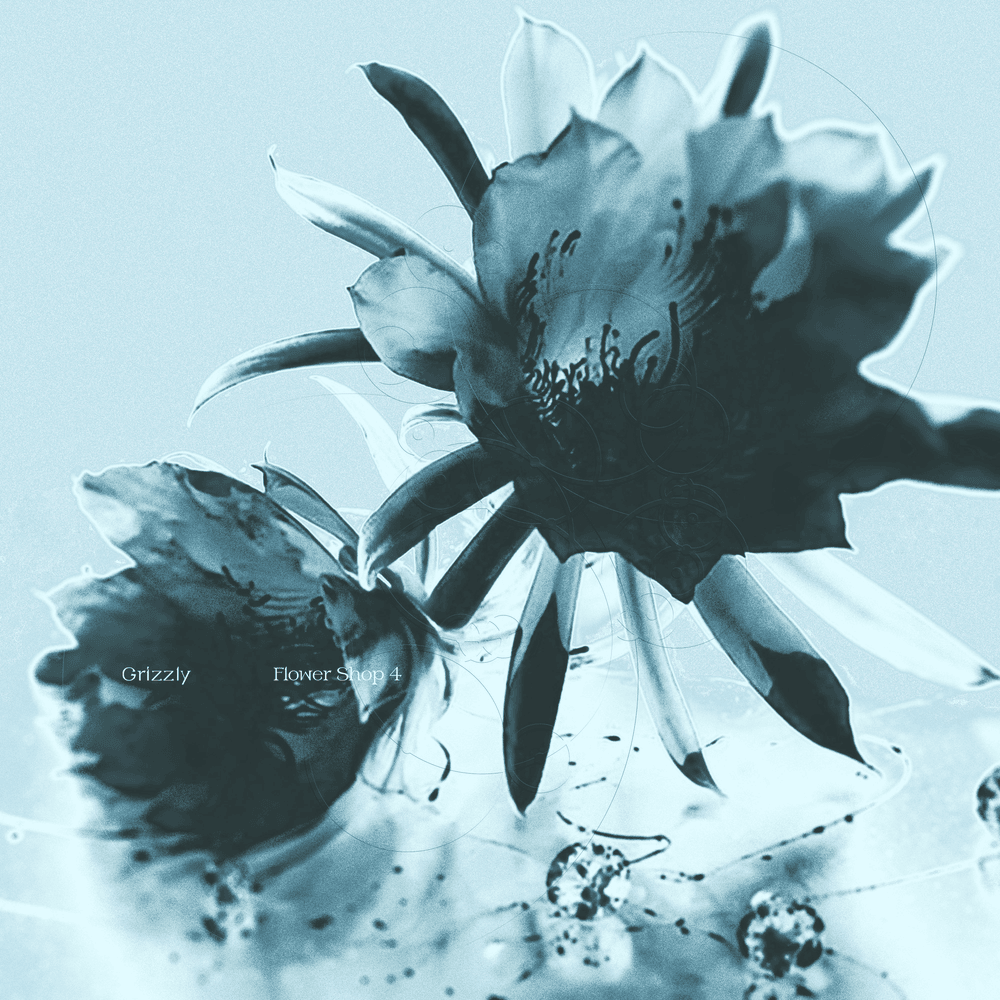 꽃zip4 (Flower Shop4)