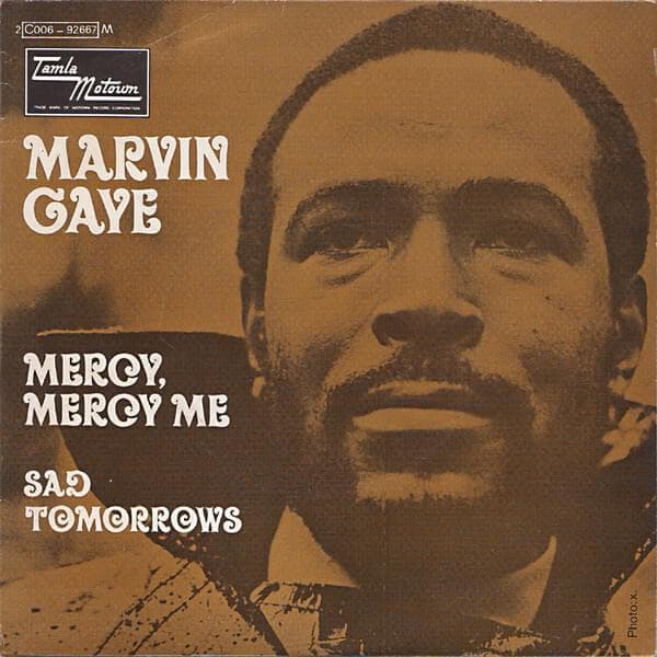 Album cover art for "Mercy Mercy Me (The Ecology)" by Marvin Gaye