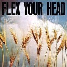 Flex Your Head