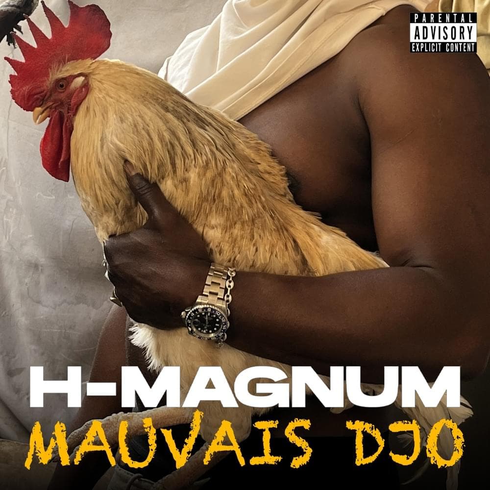 Album cover art for "Mauvais djo" by H Magnum