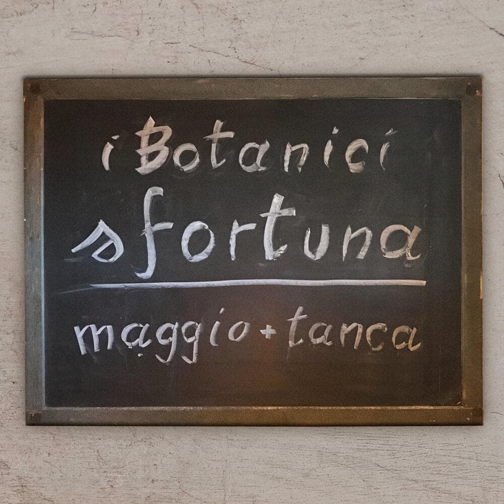 Album cover art for "Sfortuna (Remix)" by I Botanici & maggio & Tanca