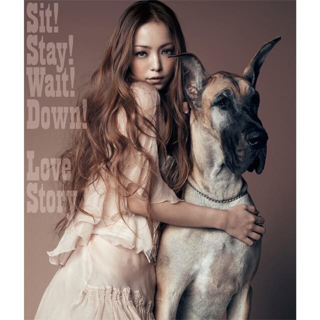 Sit! Stay! Wait! Down! / Love Story