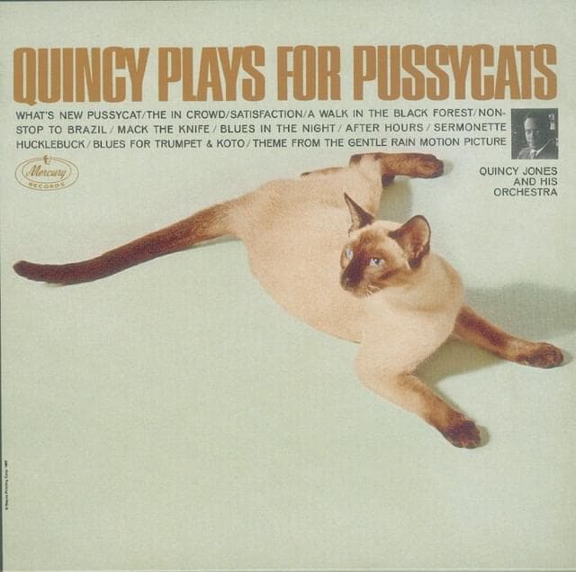 Album cover art for "(I Can't Get No) Satisfaction" by Quincy Jones