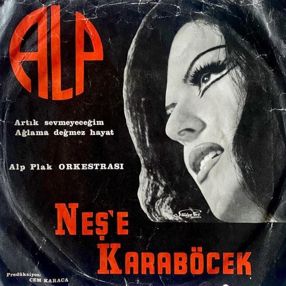 Artık Sevmeyeceğim / Ağlama Değmez Hayat – Single