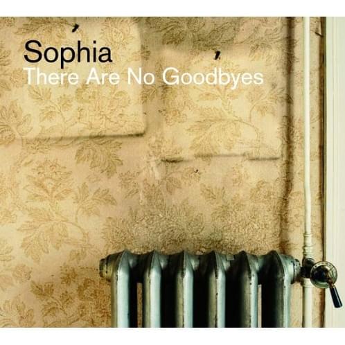 There Are No Goodbyes