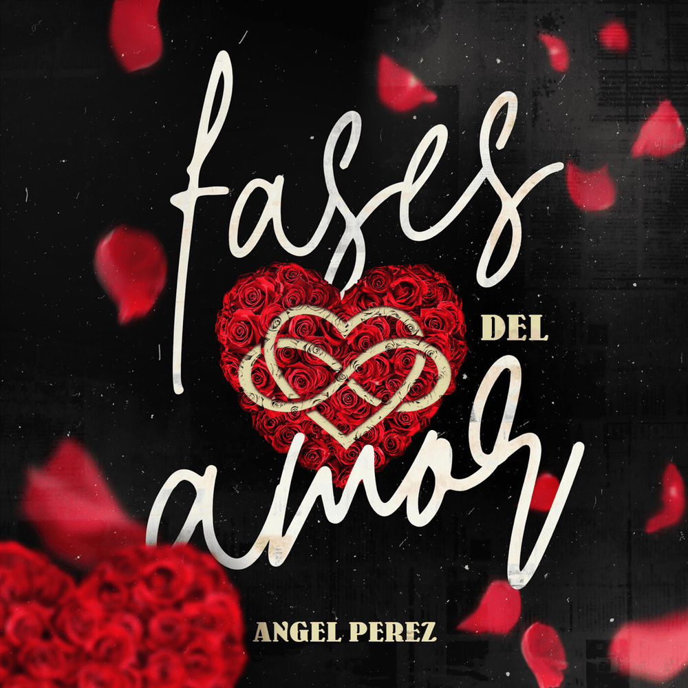 Fases Del Amor