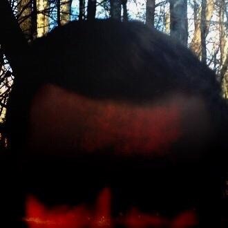 Walking in the Woods