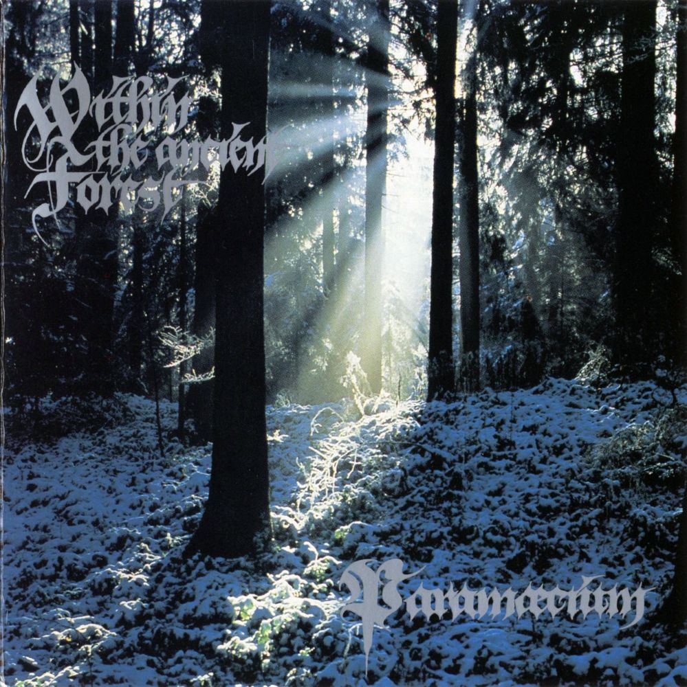 Within the Ancient Forest
