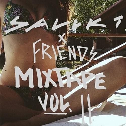Saluki & Friends (Volume 2)