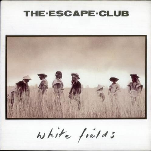 White Fields 
