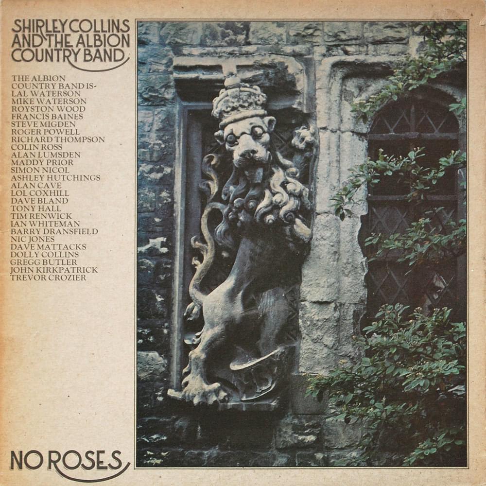 No Roses