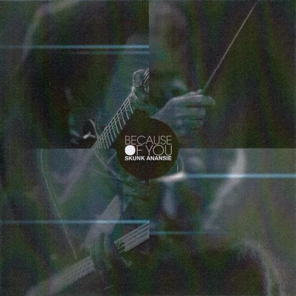 Album cover art for "Because of You" by Skunk Anansie