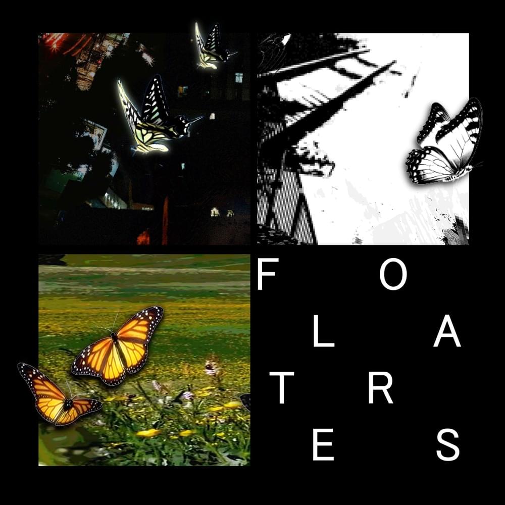 Floaters