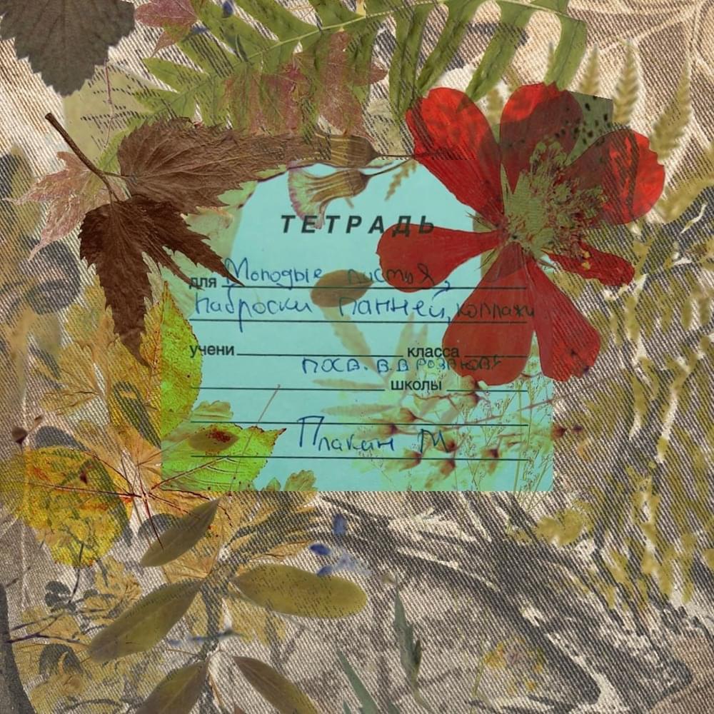 Молодые листья, наброски панчей, коллажи. Посв. В. В. Розанову (Young leaves, sketches of punches, collages. Sent by V. V. Rozanov)