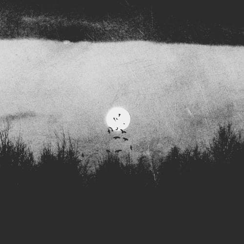 Album cover art for "I've Been Feeling Like" by Quadeca