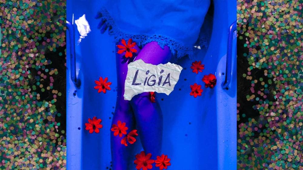 Album cover art for "Lígia" by O Grande Babaca