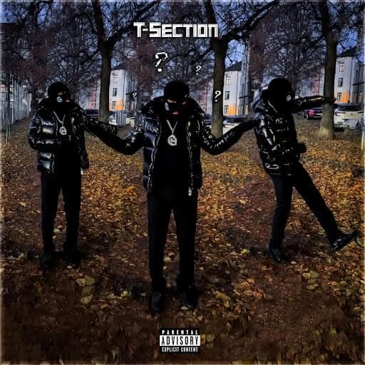 Album cover art for "Hva kan de si?" by T Section