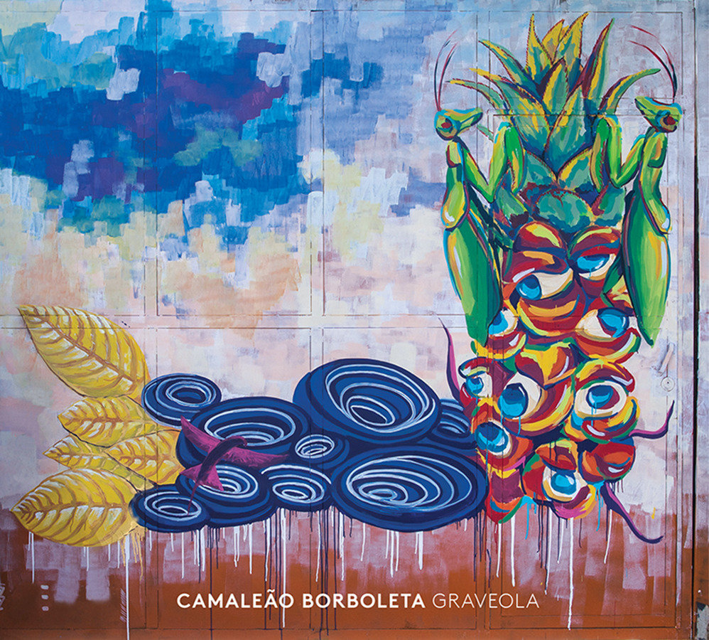 Camaleão Borboleta