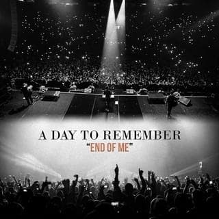 Album cover art for "End of Me" by A Day to Remember