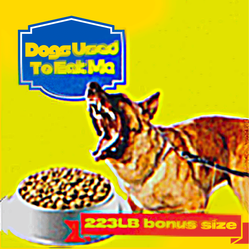 Dogs Used to Eat Me