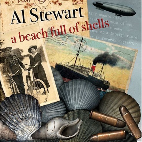 A Beach Full of Shells