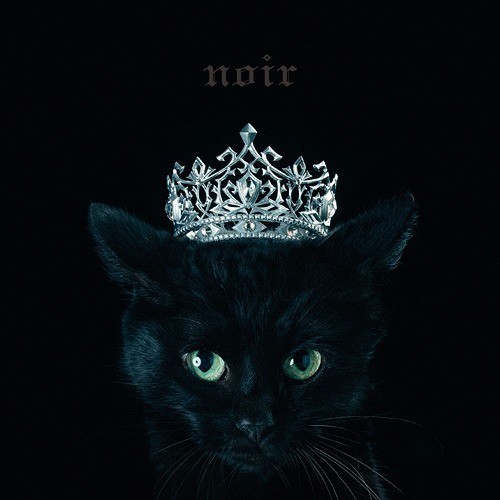 BEST SELECTION “noir”