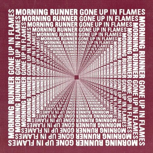Gone Up in Flames [maxi-single]