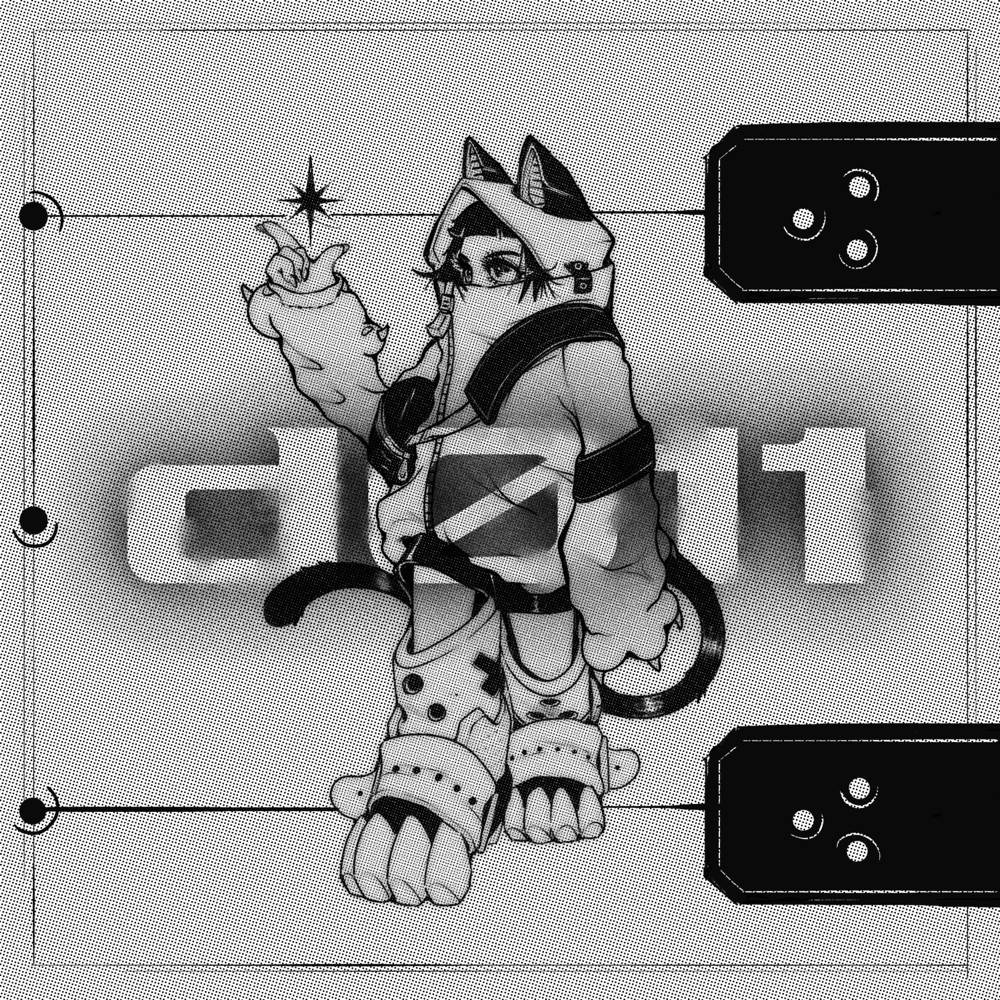 d011