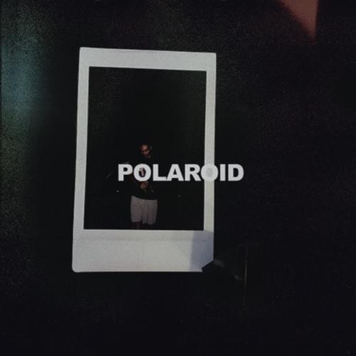 Polaroid