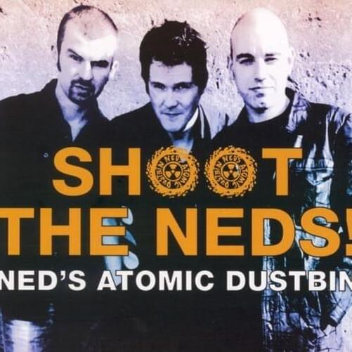 Shoot The Neds!