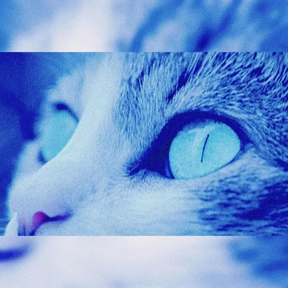 Album cover art for "all eyes on me." by i can’t trust myself tonight