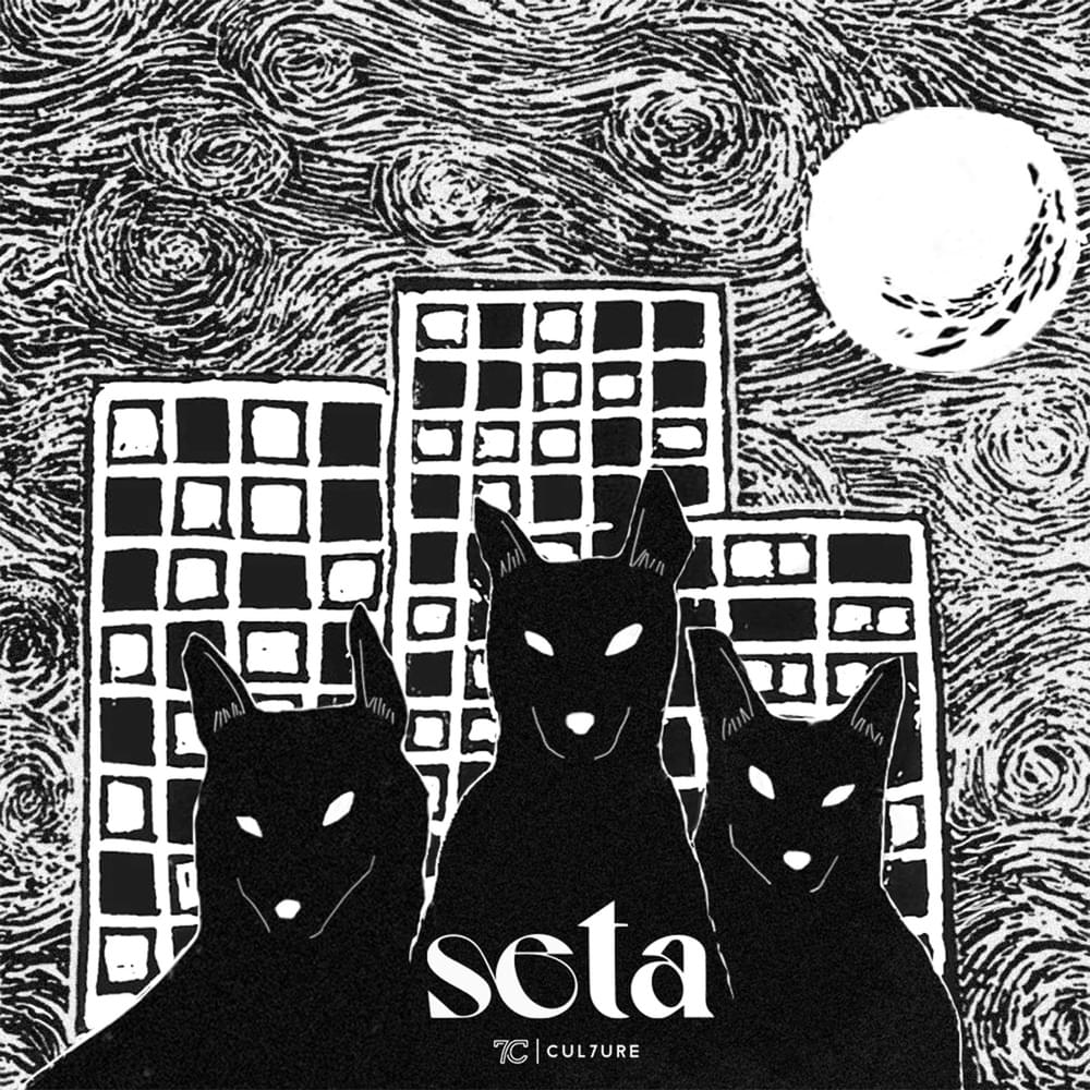 Seta