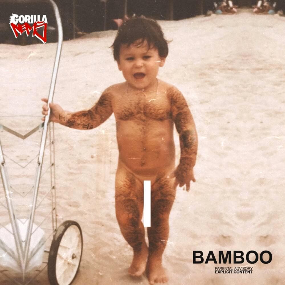 Bamboo