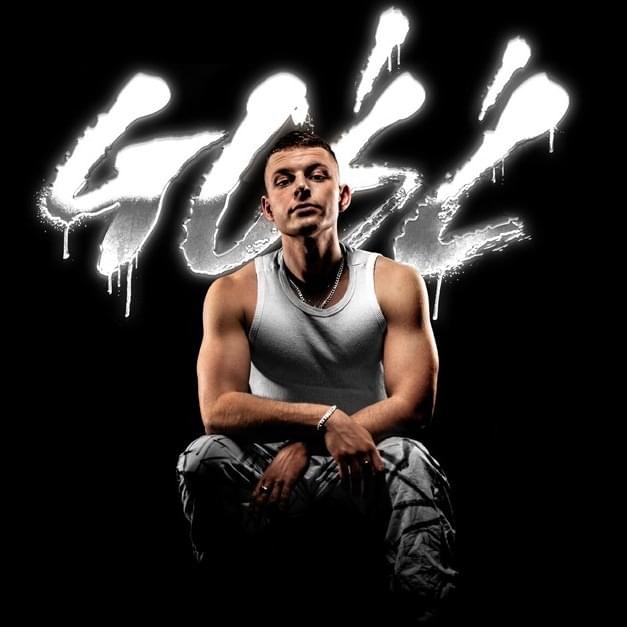 GOŚĆ