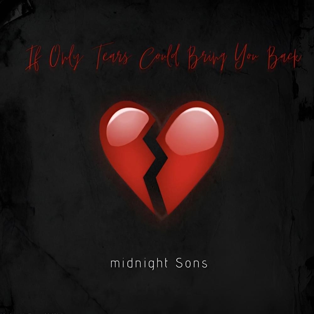 If Only Tears Could Bring You Back - Single