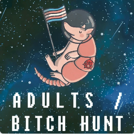 Space Armadillo